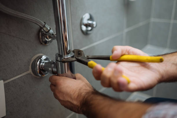 Best Plumbing Services Near Me  in Galesville, WI